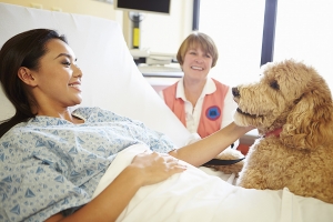 Lei deve autorizar visita de animais dom&eacute;sticos em hospitais