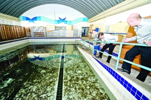 Centro de Hidroterapia de S&atilde;o Bernardo ser&aacute; revitalizado